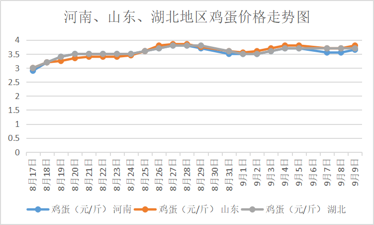 全国鸡蛋最新批发价格动态分析与趋势预测