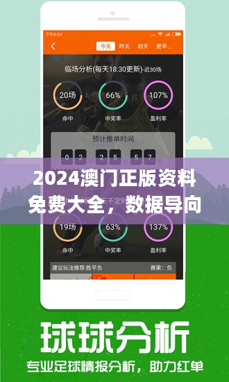 4949澳门精准大全免费公开｜实用技巧与详细解析