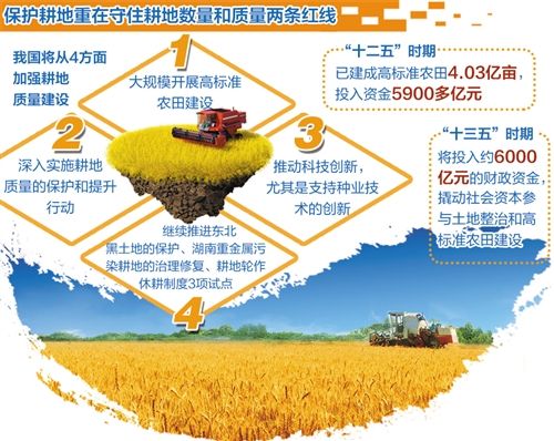 耕地占补平衡最新政策解析及解读