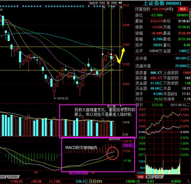 关于002024的最新消息全面解析与解读