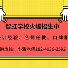 广元最新会计招聘信息解读与动态更新